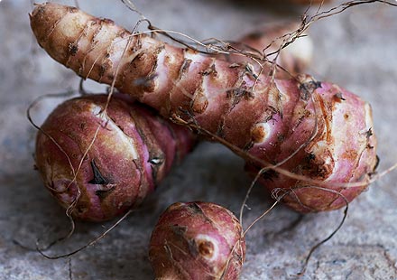 French hated Jerusalem Artichoke because of German occupation